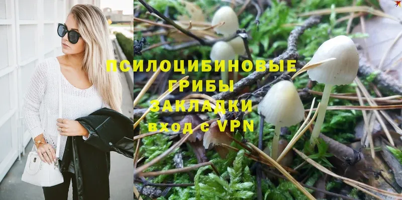 купить  сайты  Дубовка  blacksprut как зайти  Галлюциногенные грибы MAGIC MUSHROOMS 